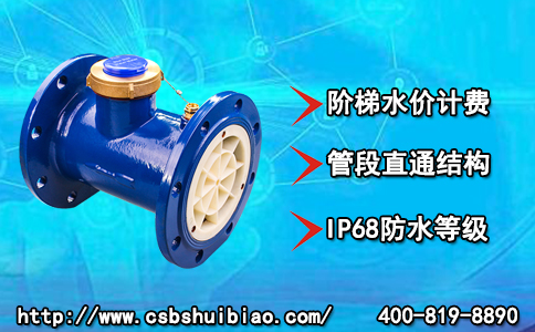 小型农田水利建设型大口径水表