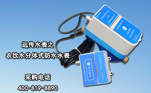 远传水表之农饮水分体式防水水表